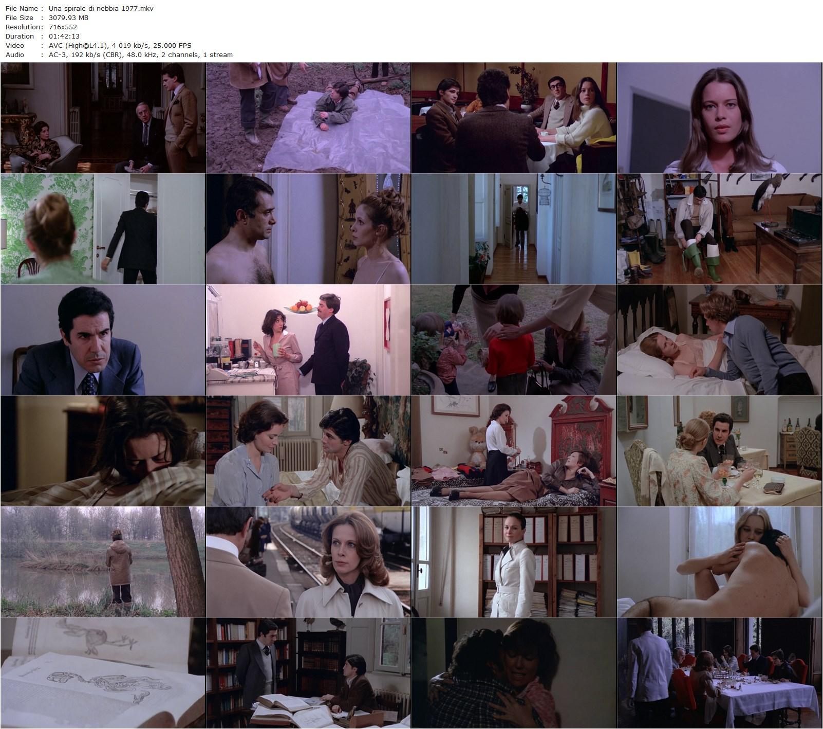 A Spiral of Mist AKA Una spirale di nebbia (1977) Eriprando Visconti, Marc Porel, Claude Jade, Carole Chauvet-poster