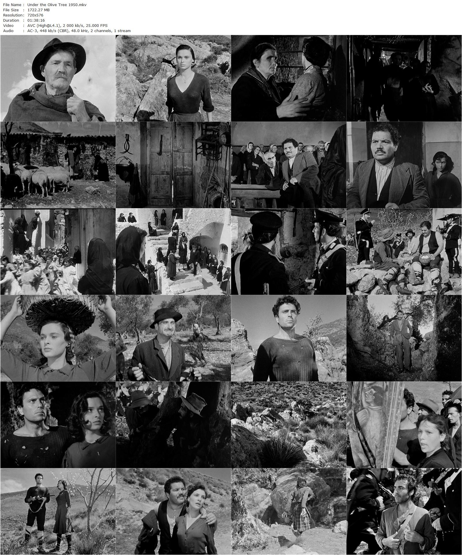 Under the Olive Tree AKA Non c’è pace tra gli ulivi (1950) Giuseppe De Santis, Raf Vallone, Lucia Bosé, Folco Lulli-poster