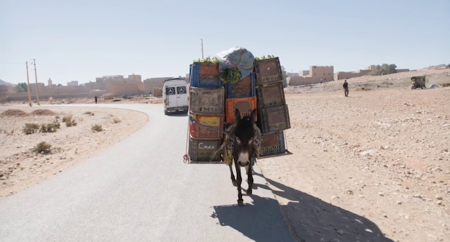 Untitled (2017) by Michael Glawogger & Monika Willi-poster