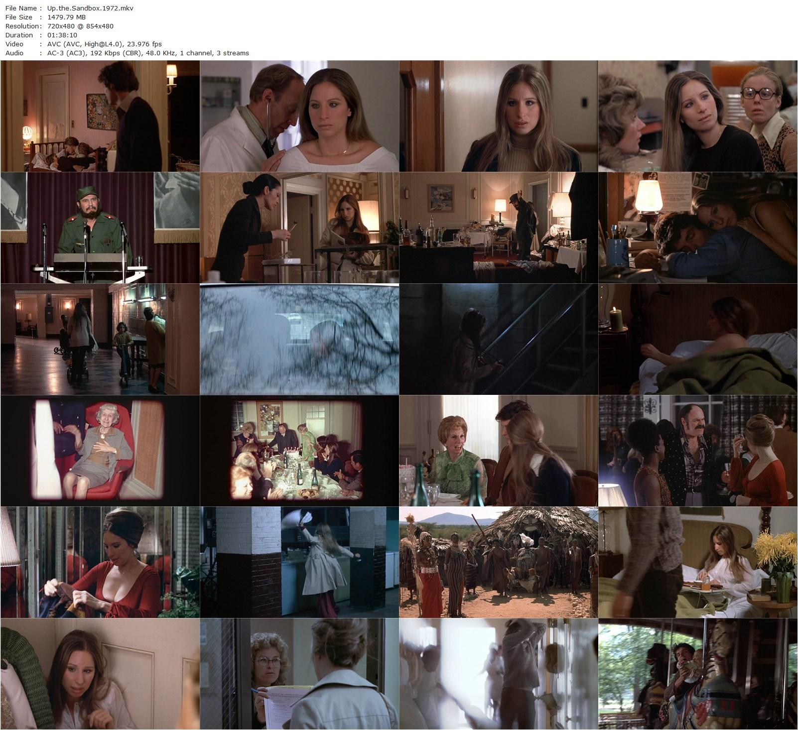 Up the Sandbox (1972) Irvin Kershner, Barbra Streisand, David Selby, Ariane Heller-poster