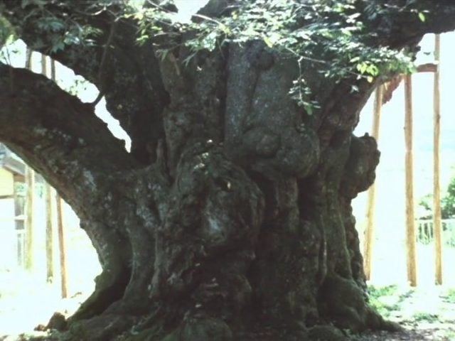 Sumiko Haneda - Usuzumi no sakura AKA The Cherry Tree with Gray Blossoms (1977)-poster