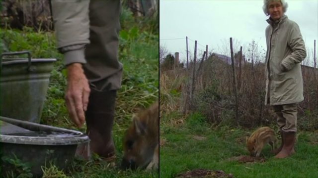 Pierre Creton - Va, Toto! (2017)-poster