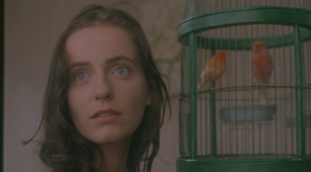 Abraham’s Valley / Vale Abraão (1993) Manoel de Oliveira, Leonor Silveira, Cécile Sanz de Alba, Luís Miguel Cintra-poster