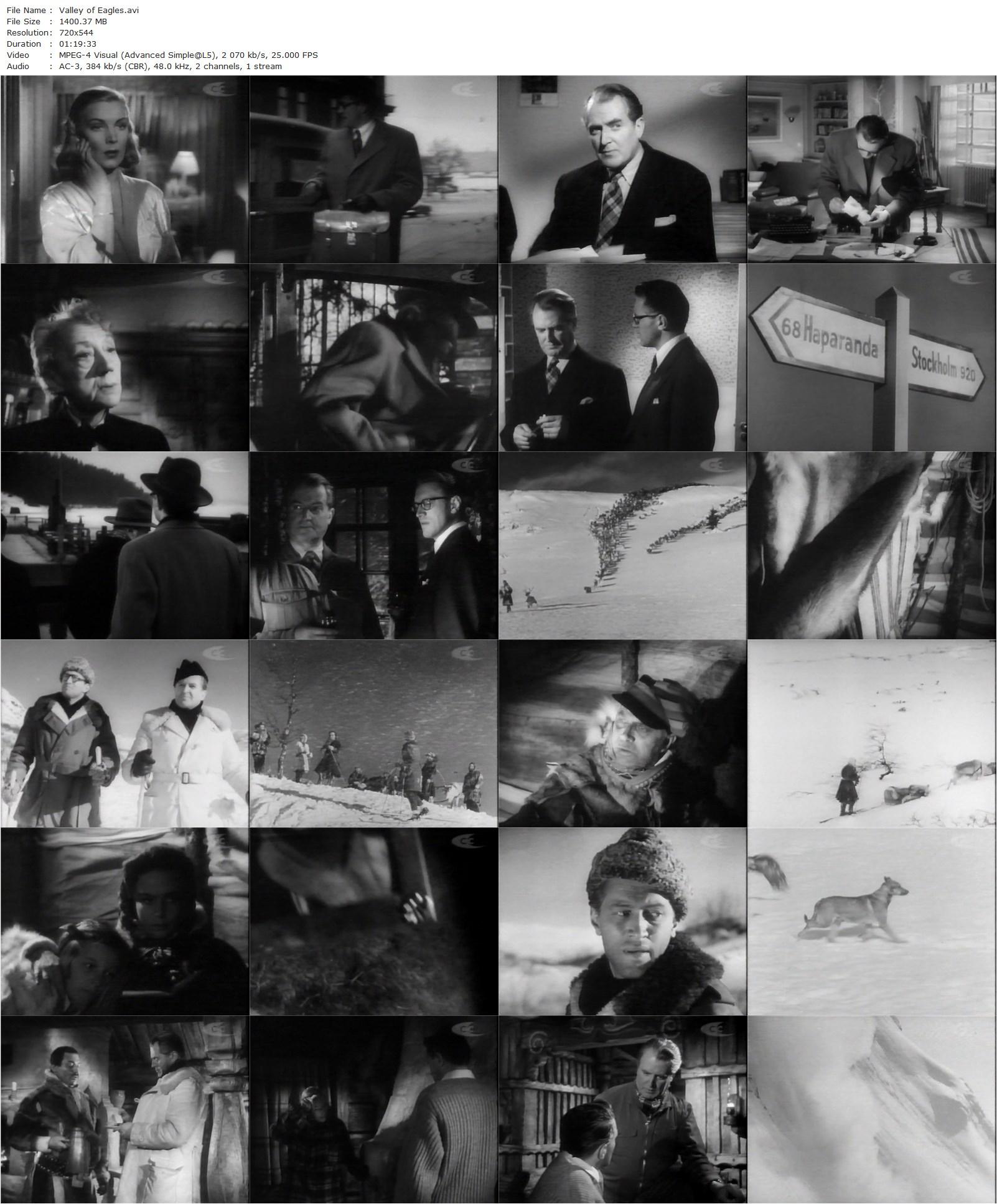 Valley of Eagles (1951) Terence Young, Jack Warner, Nadia Gray, John McCallum-poster