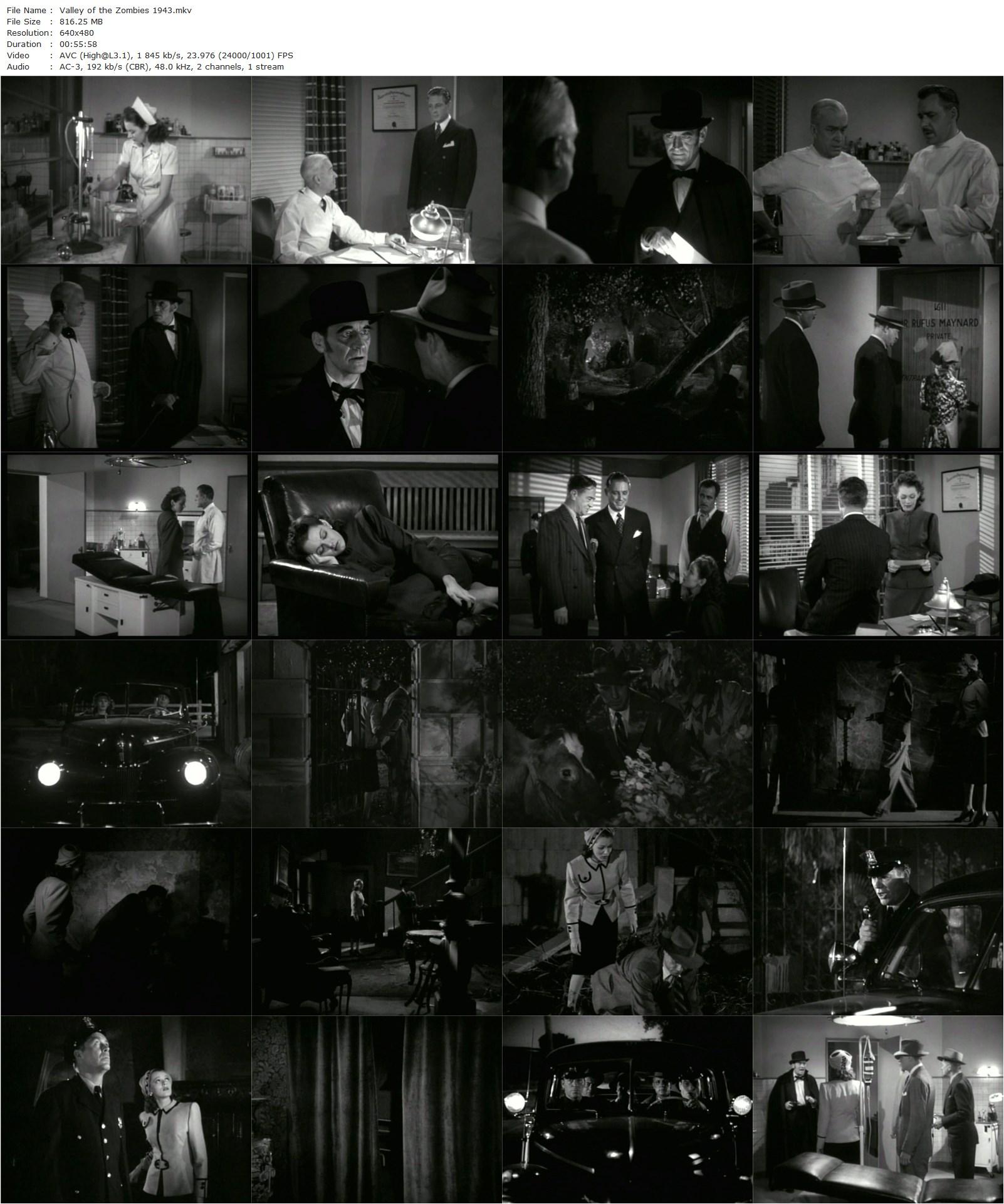 Valley of the Zombies (1946) Philip Ford, Robert Livingston, Lorna Gray, Ian Keith-poster