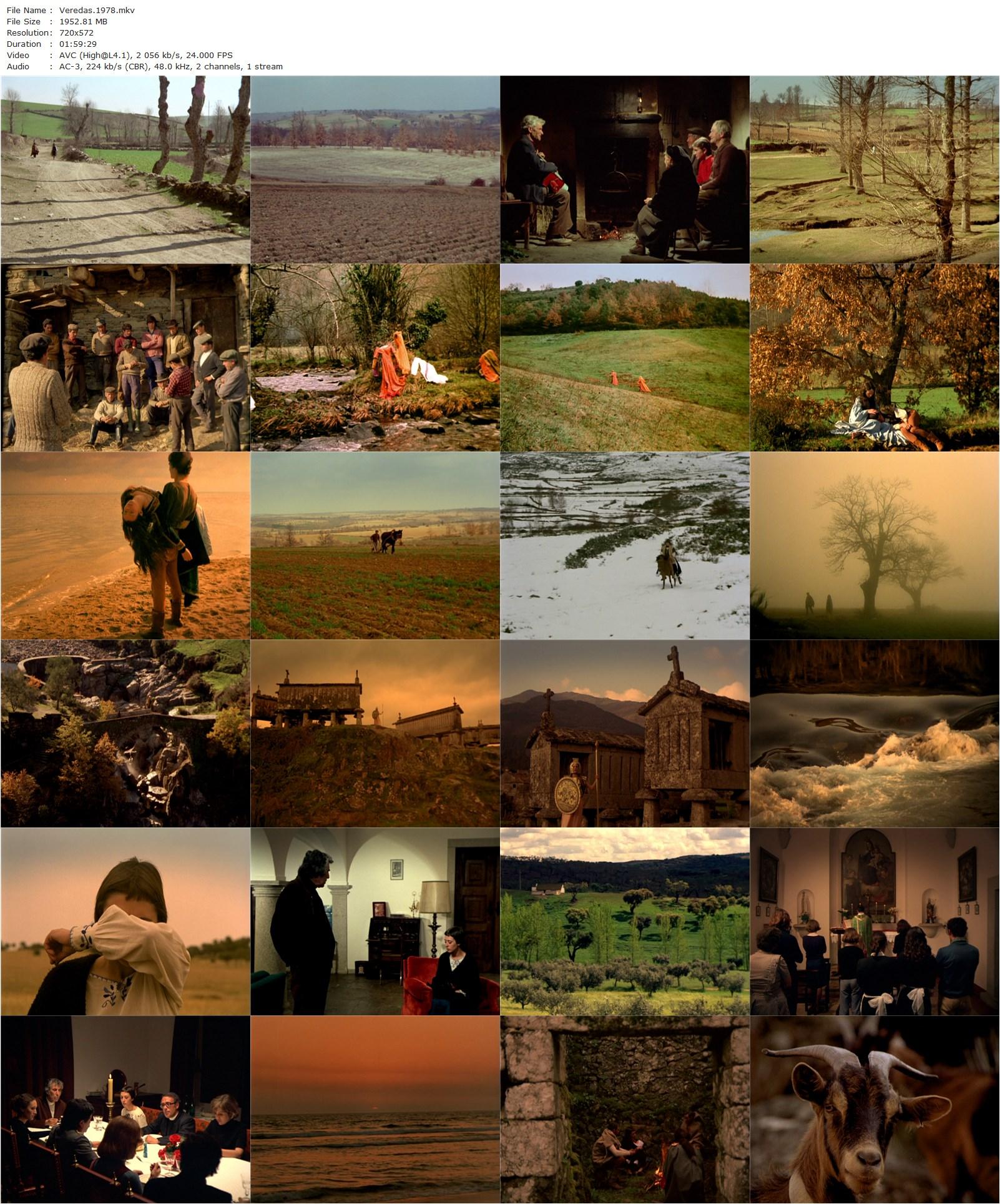 Trails AKA Veredas (1978) João César Monteiro, Manuela de Freitas, Luís de Sousa Costa, Francisco Domingues, Carmen Duarte-poster