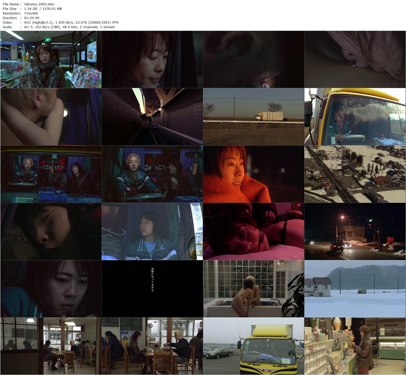 Vibrator AKA Vaiburêta (2003) Ryûichi Hiroki, Shinobu Terajima, Nao Ômori, Riho Makise-poster