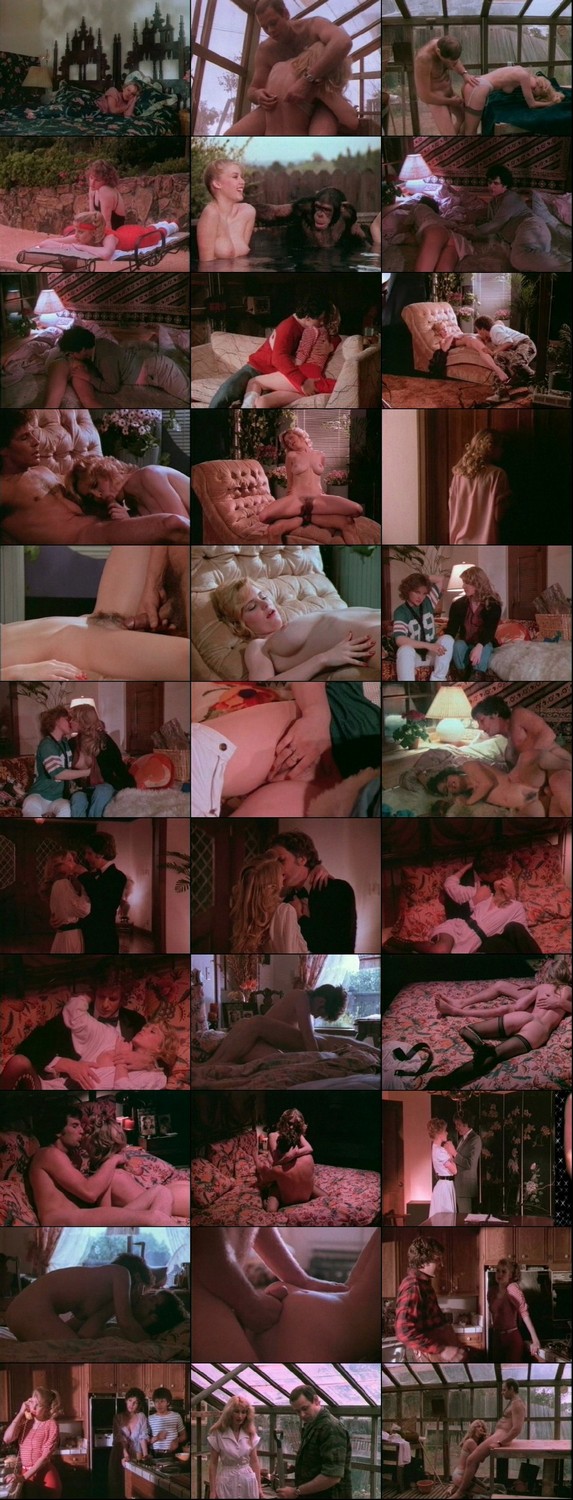 Virginia (1983) John Seeman, Shauna Grant, Paul Thomas, Janey Robbins, Adult, Drama-poster