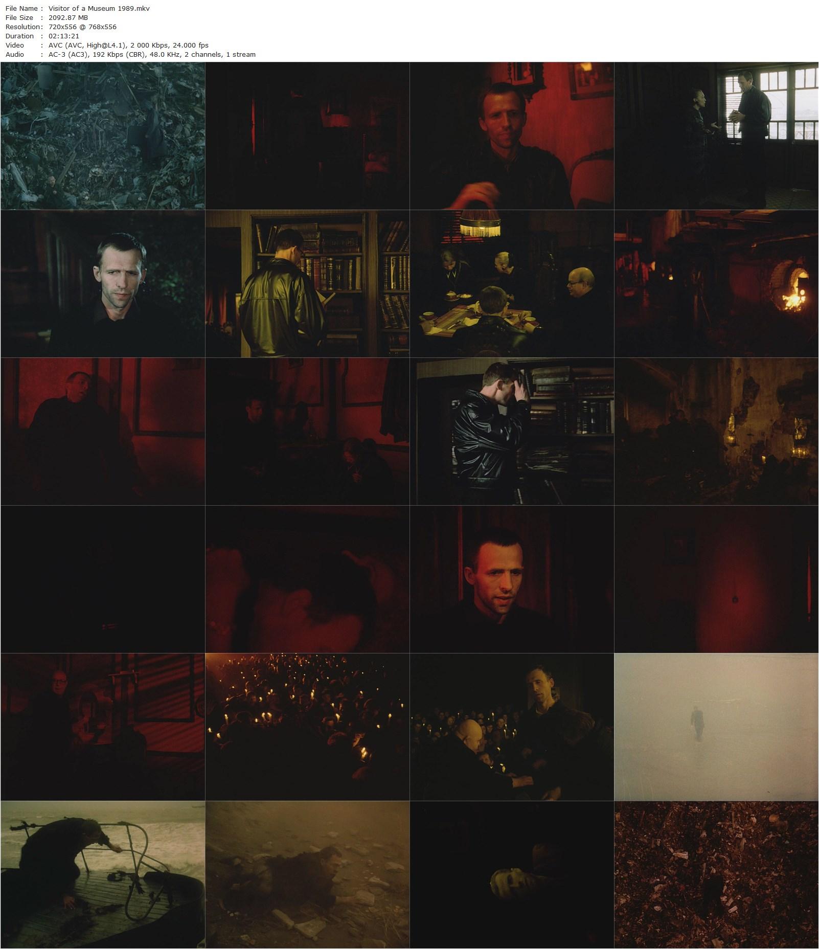 Visitor of a Museum (1989) Konstantin Lopushanskiy, Viktor Mikhaylov, Vera Mayorova, Vadim Lobanov-poster