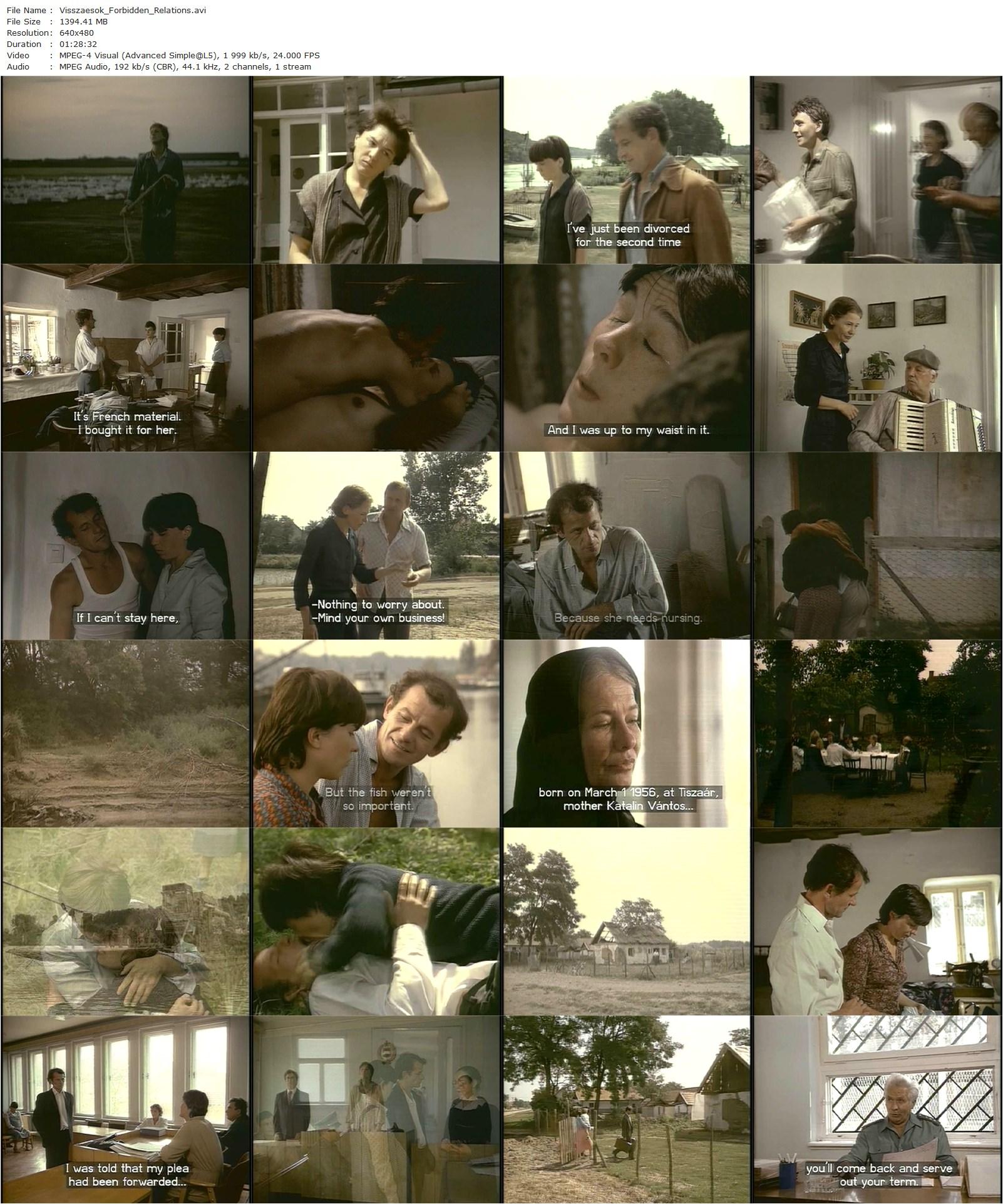 Forbidden Relations AKA Visszaesök (1983) Zsolt Kézdi-Kovács, Lili Monori, Miklós Székely B., Mari Töröcsik-poster