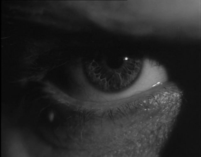 Vita frun (1962)-poster