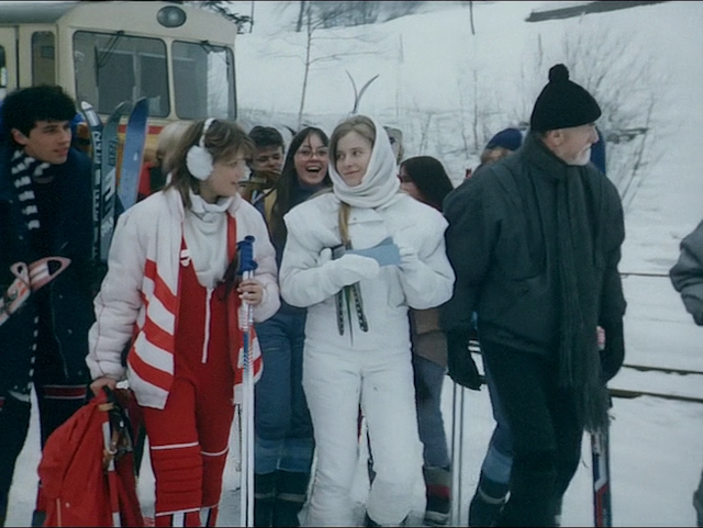 Vlci bouda (1987)-poster