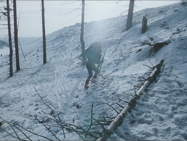 Vlci bouda (1987)-poster