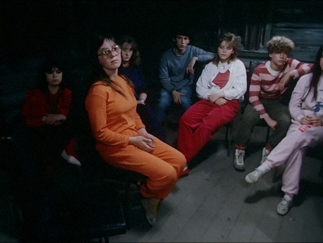 Vlci bouda (1987)-poster