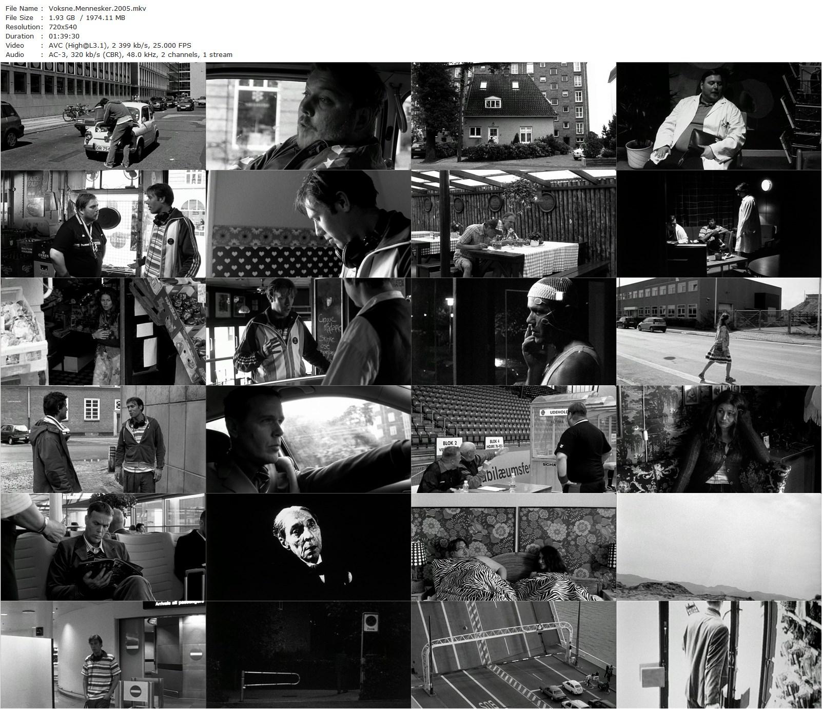 Dark Horse AKA Voksne mennesker (2005) Dagur Kári, Jakob Cedergren, Nicolas Bro, Tilly Scott Pedersen-poster