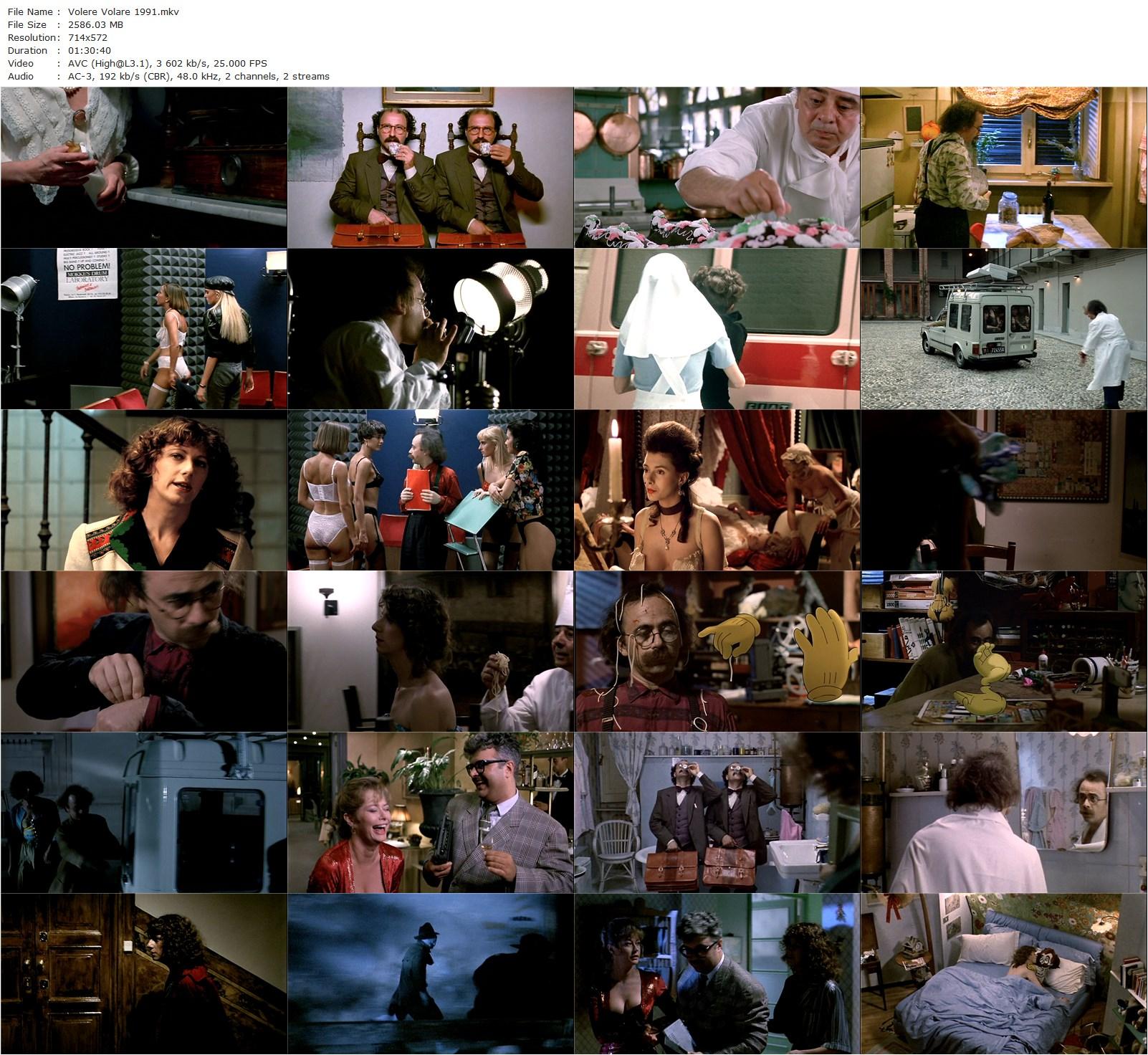 To Want to Fly / Volere volare (1991) Guido Manuli, Maurizio Nichetti, Angela Finocchiaro, Mariella Valentini-poster