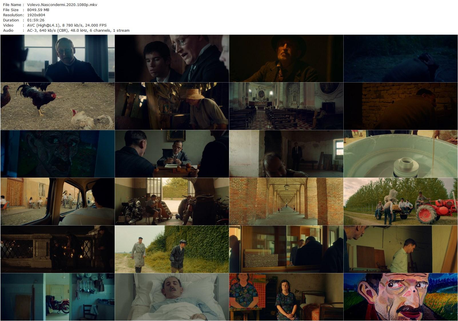 Hidden Away / Volevo nascondermi (2020) Giorgio Diritti, Elio Germano, Oliver Ewy, Leonardo Carrozzo-poster