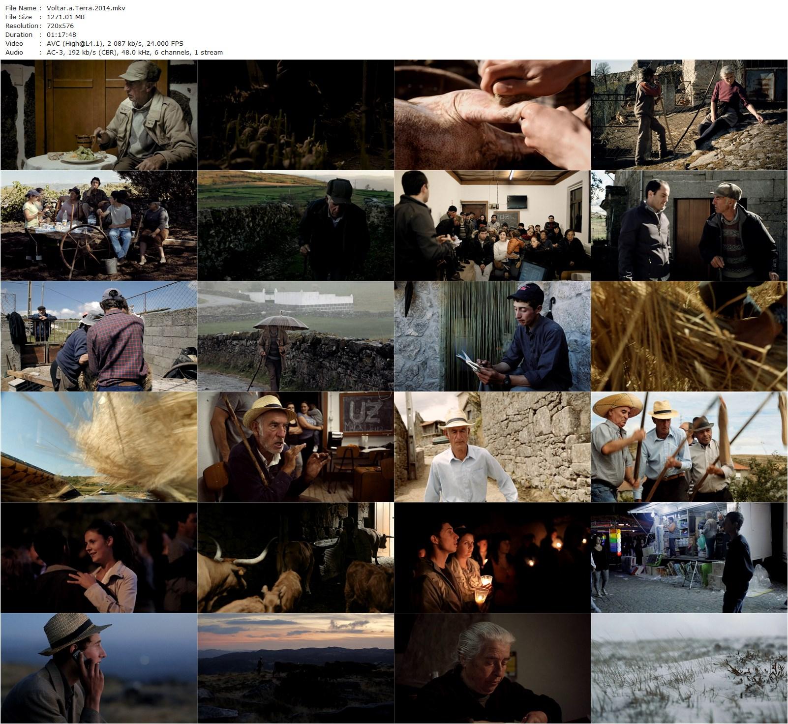 (Be)longing AKA Volta à Terra (2014) Laurence Ferreira Barbosa, João Pedro Plácido-poster