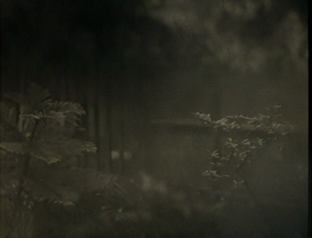 Vostochnaya elegiya (1996)-poster