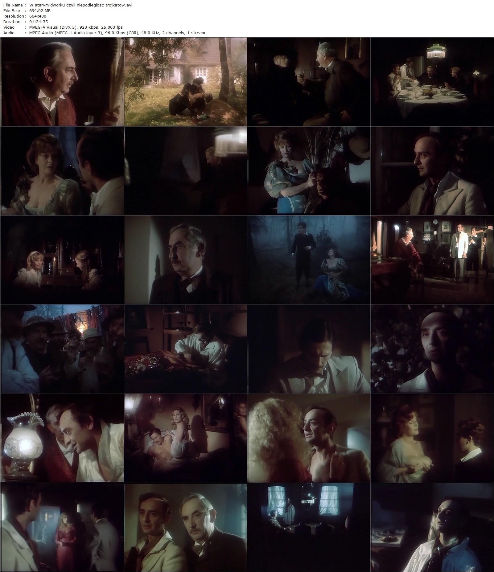 In an Old Manor House or The Independence of Triangles (1984) Andrzej Kotkowski, Beata Tyszkiewicz, Grazyna Szapolowska, Gustaw Holoubek-poster