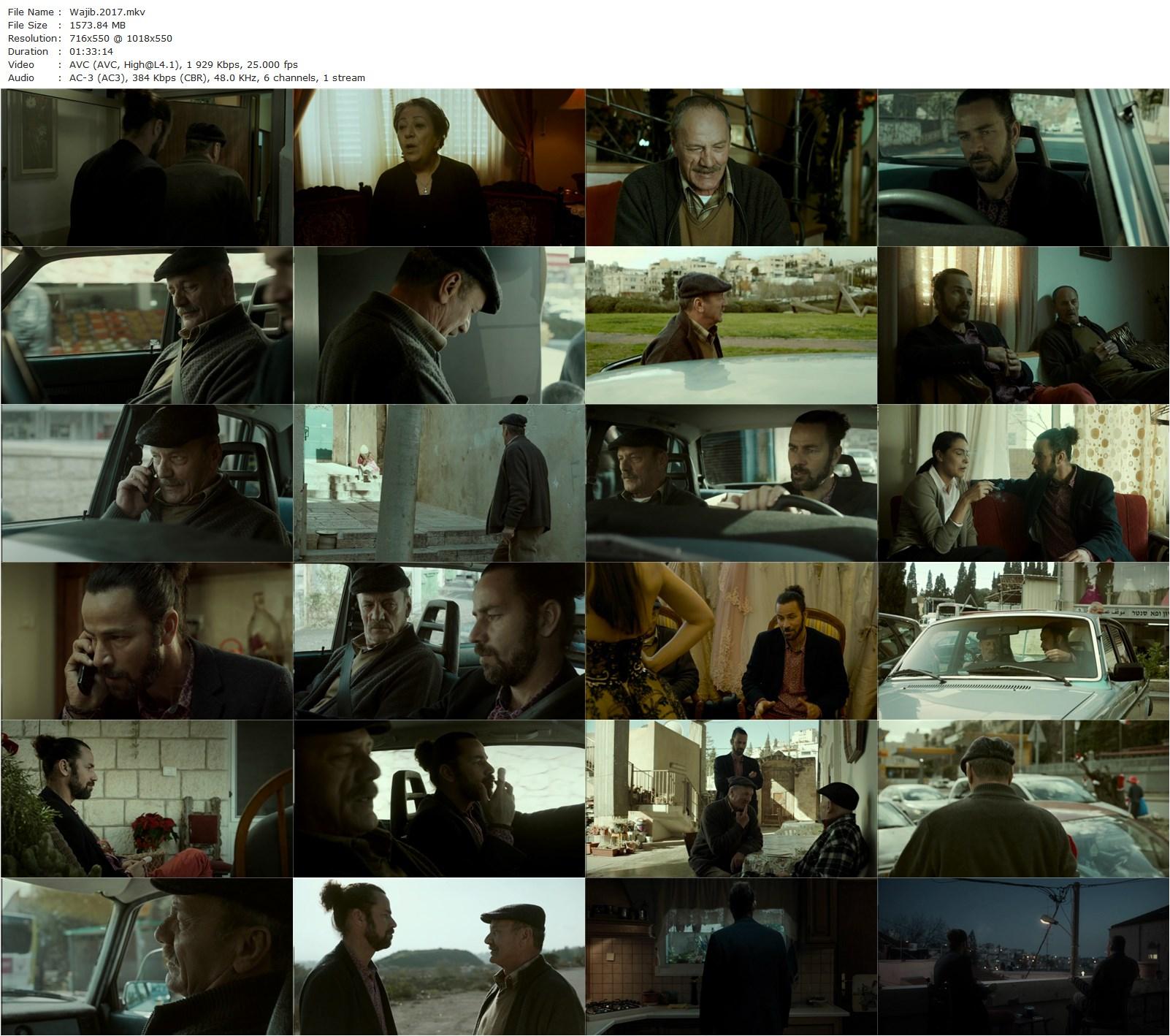 Wajib / The Wedding Invitation (2017) Annemarie Jacir, Mohammad Bakri, Saleh Bakri, Tarik Kopty-poster