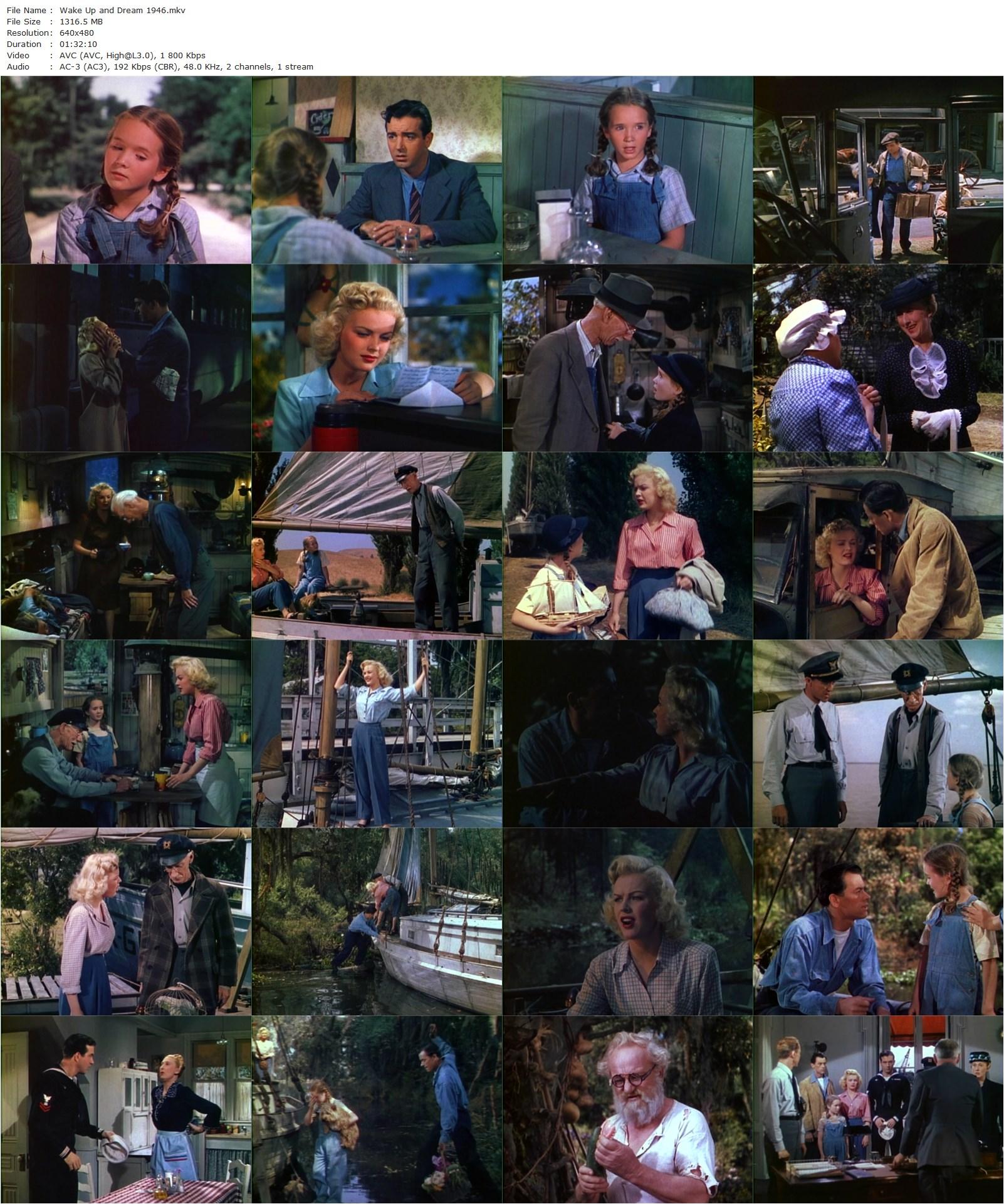 Wake Up and Dream (1946) Lloyd Bacon, John Payne, June Haver, Charlotte Greenwood-poster