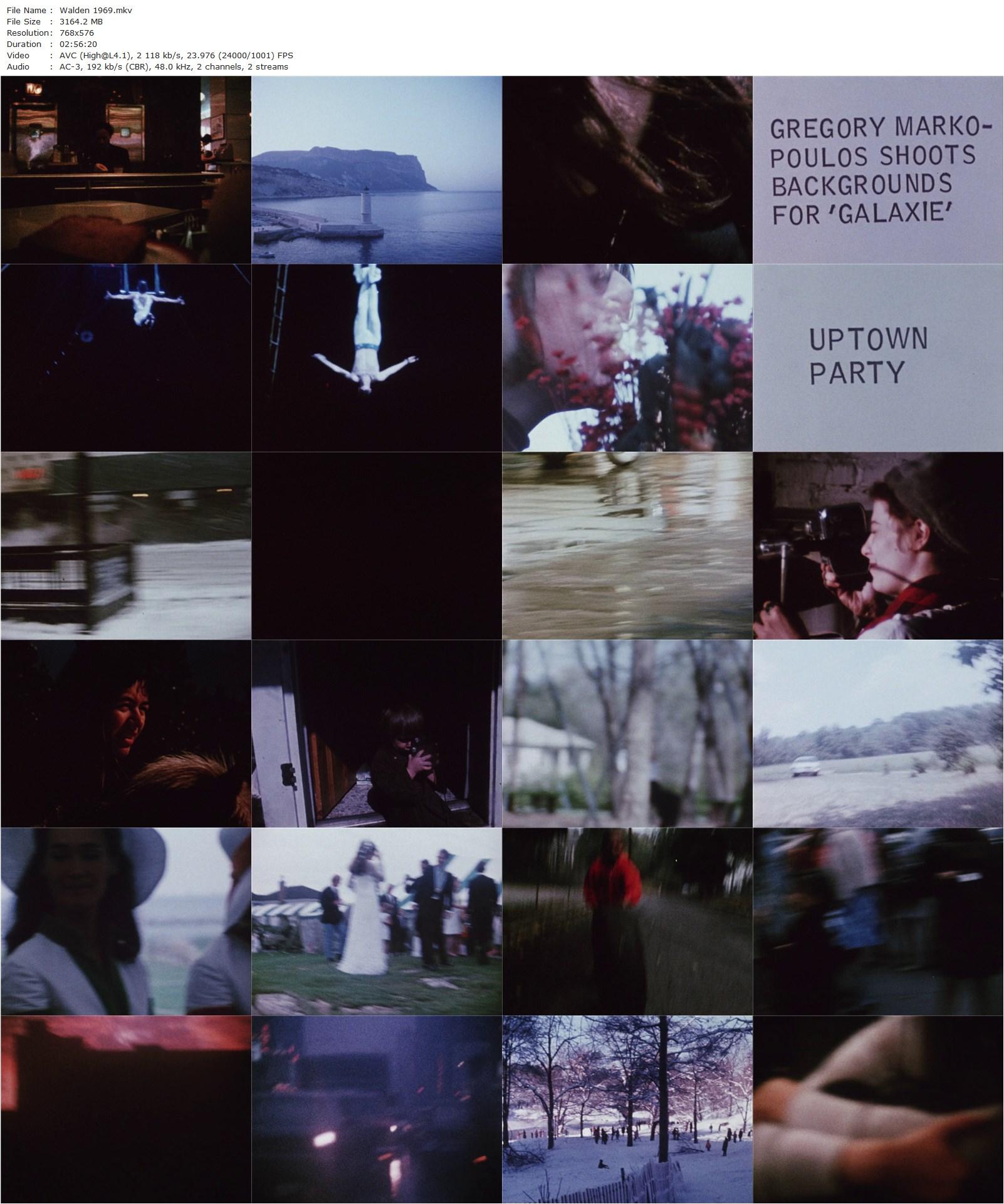 Diaries Notes and Sketches AKA Walden (1969) Jonas Mekas, Timothy Leary, Ed Emshwiller, Franz Fuenstler-poster