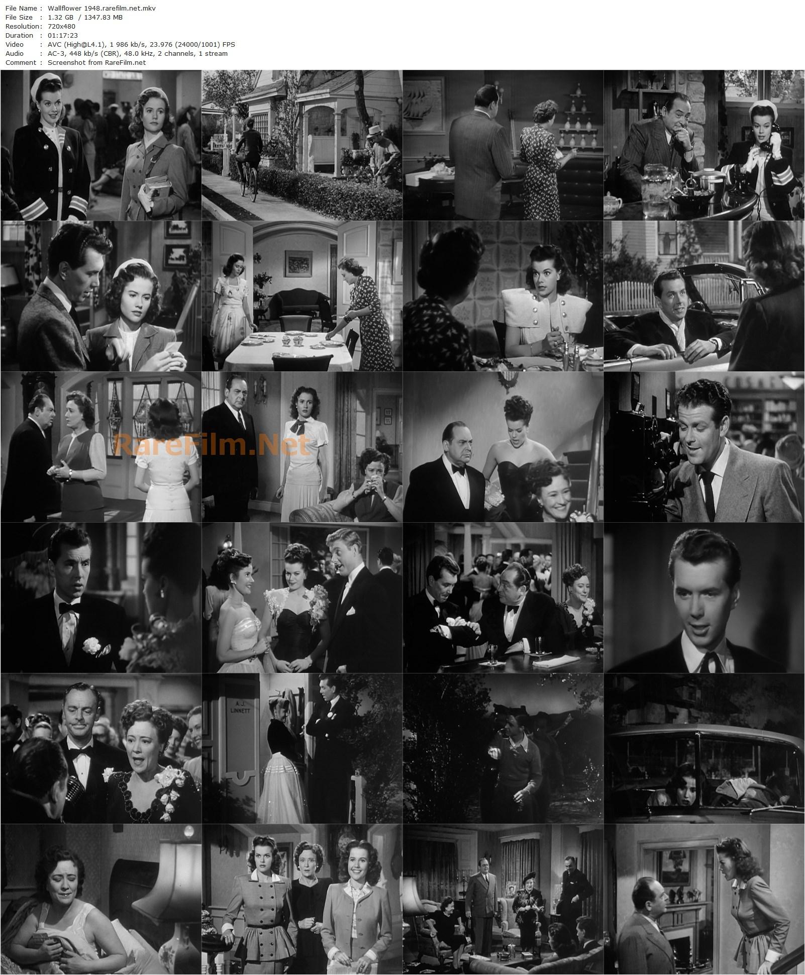 Wallflower (1948) Frederick De Cordova, Robert Hutton, Joyce Reynolds, Janis Paige-poster