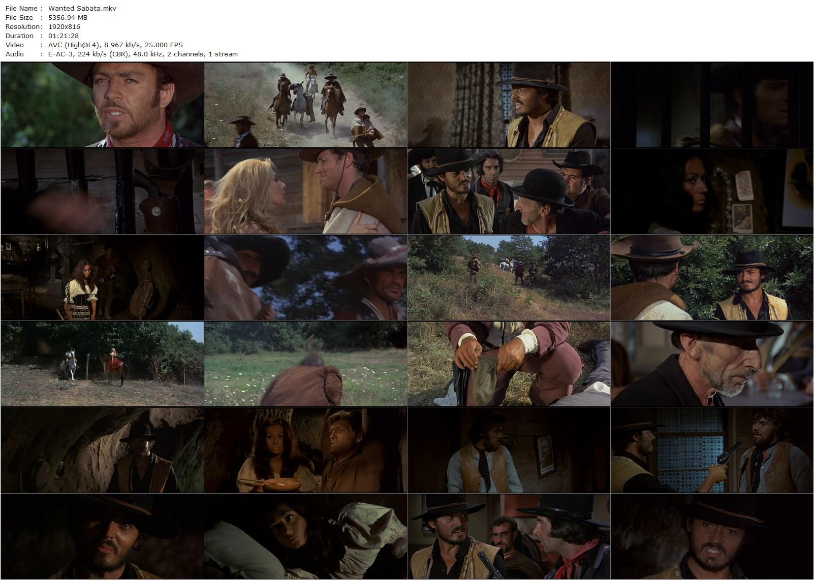 Wanted Sabata (1970) Roberto Mauri, Brad Harris, Vassili Karis, Elena Pedemonte-poster