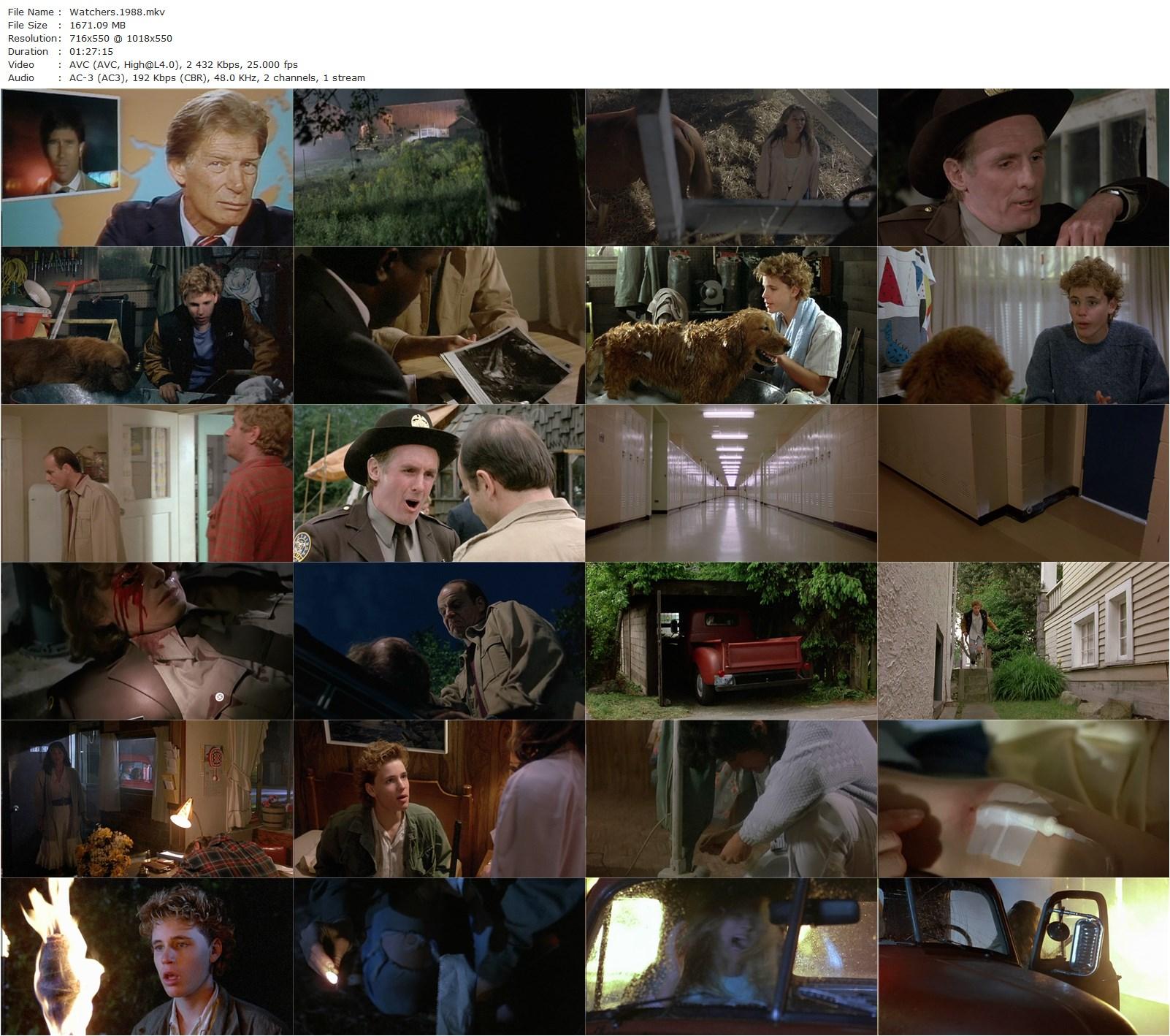 Watchers (1988) Jon Hess, Corey Haim, Michael Ironside, Christopher Cary-poster