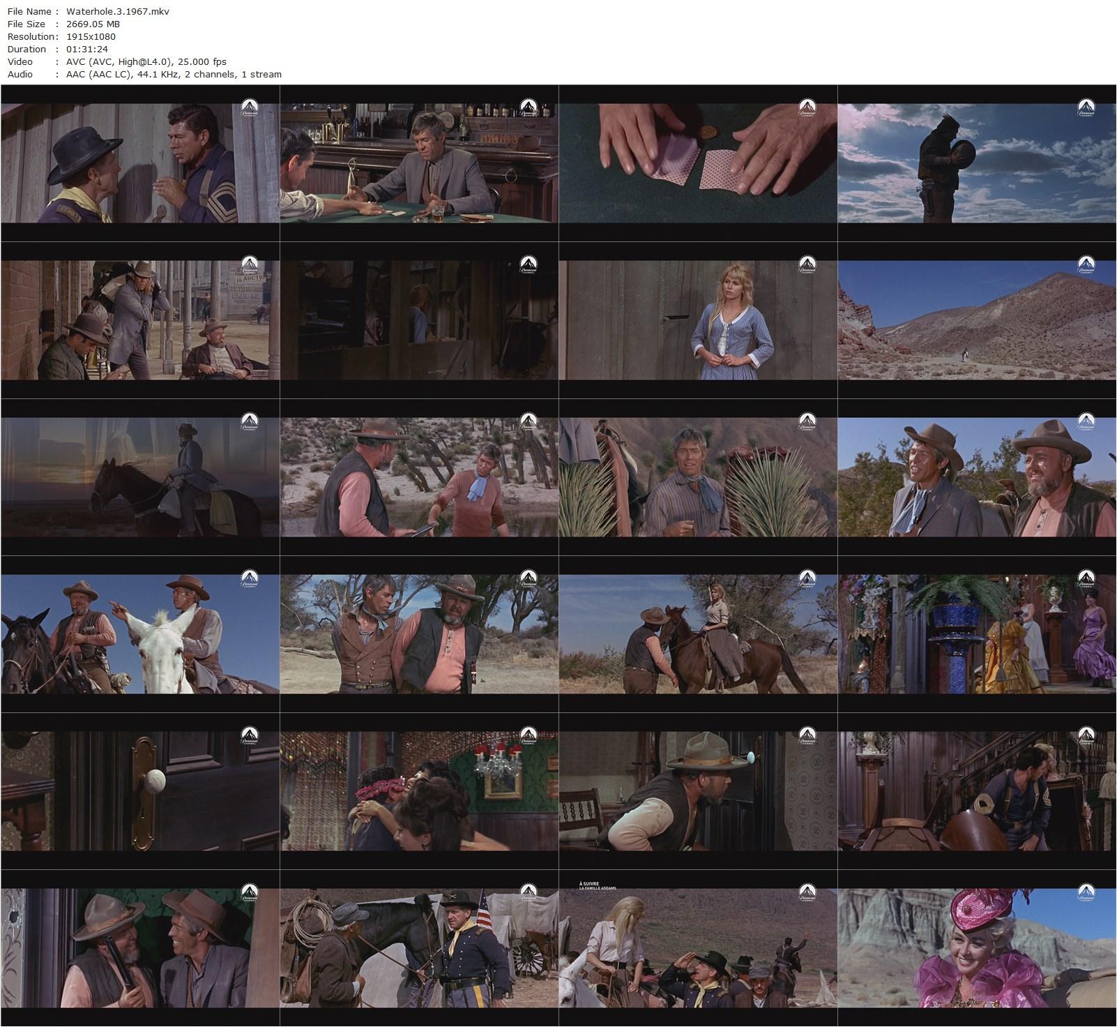 Waterhole #3 (1967) William A. Graham, James Coburn, Carroll O’Connor, Margaret Blye-poster