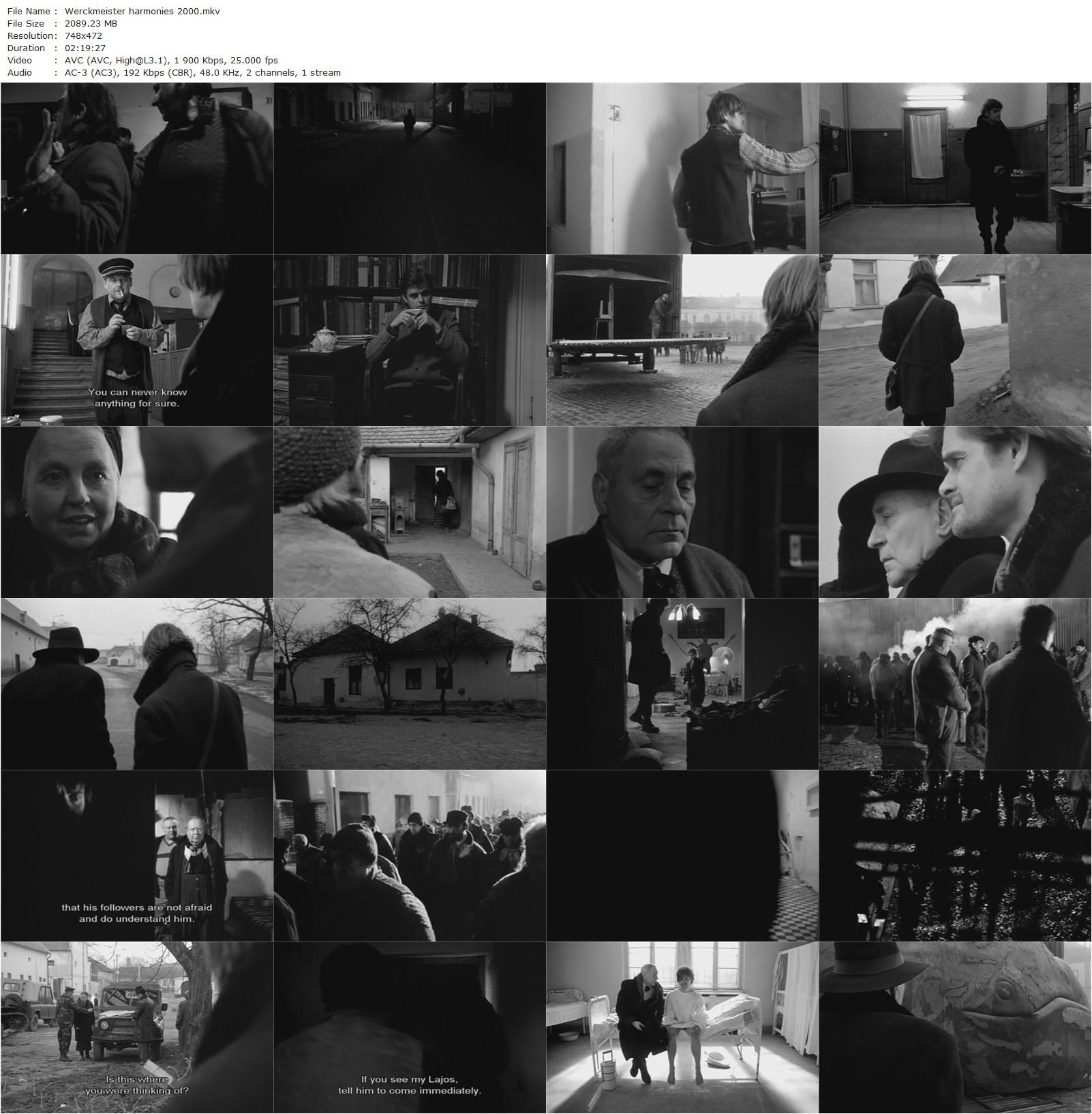Werckmeister Harmonies (2000) Béla Tarr, Ágnes Hranitzky, Lars Rudolph, Peter Fitz, Hanna Schygulla-poster