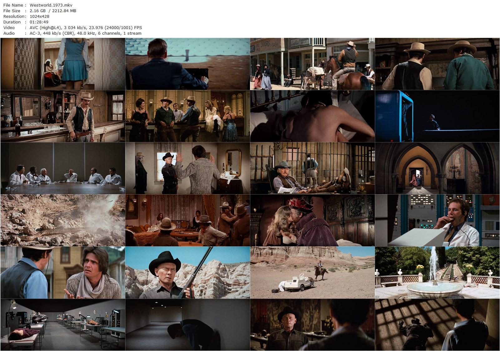 Westworld (1973) Michael Crichton, Yul Brynner, Richard Benjamin, James Brolin-poster