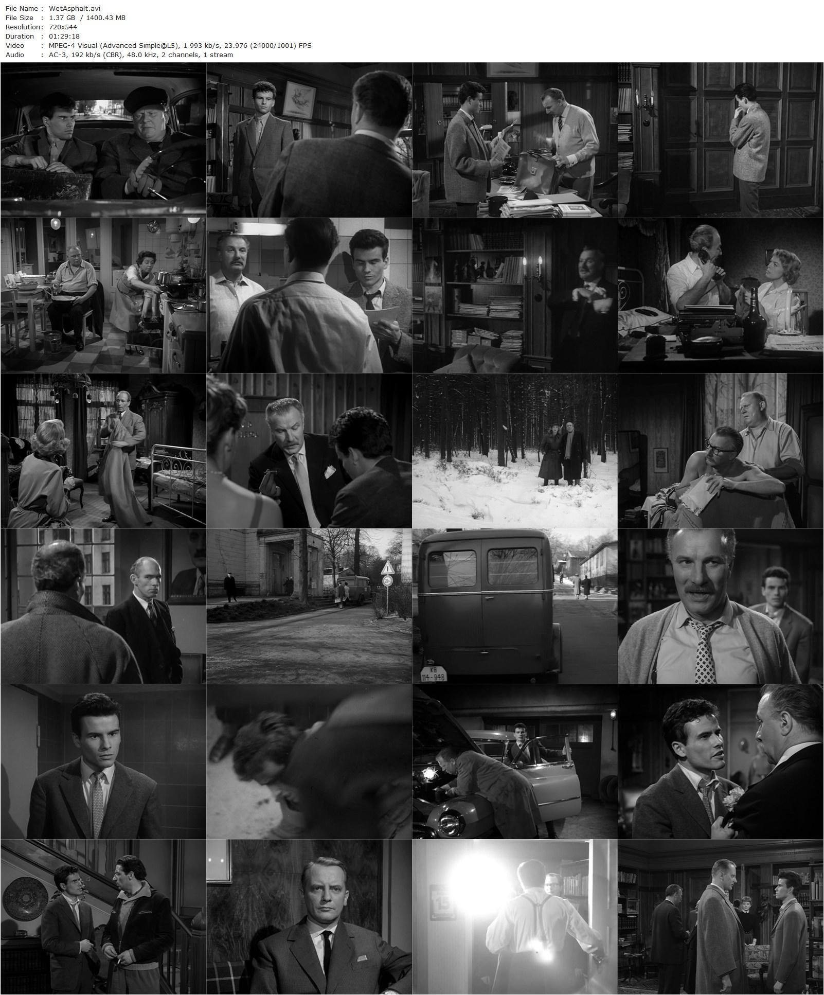 Wet Asphalt / Nasser Asphalt (1958) Frank Wisbar, Horst Buchholz, Martin Held, Maria Perschy-poster