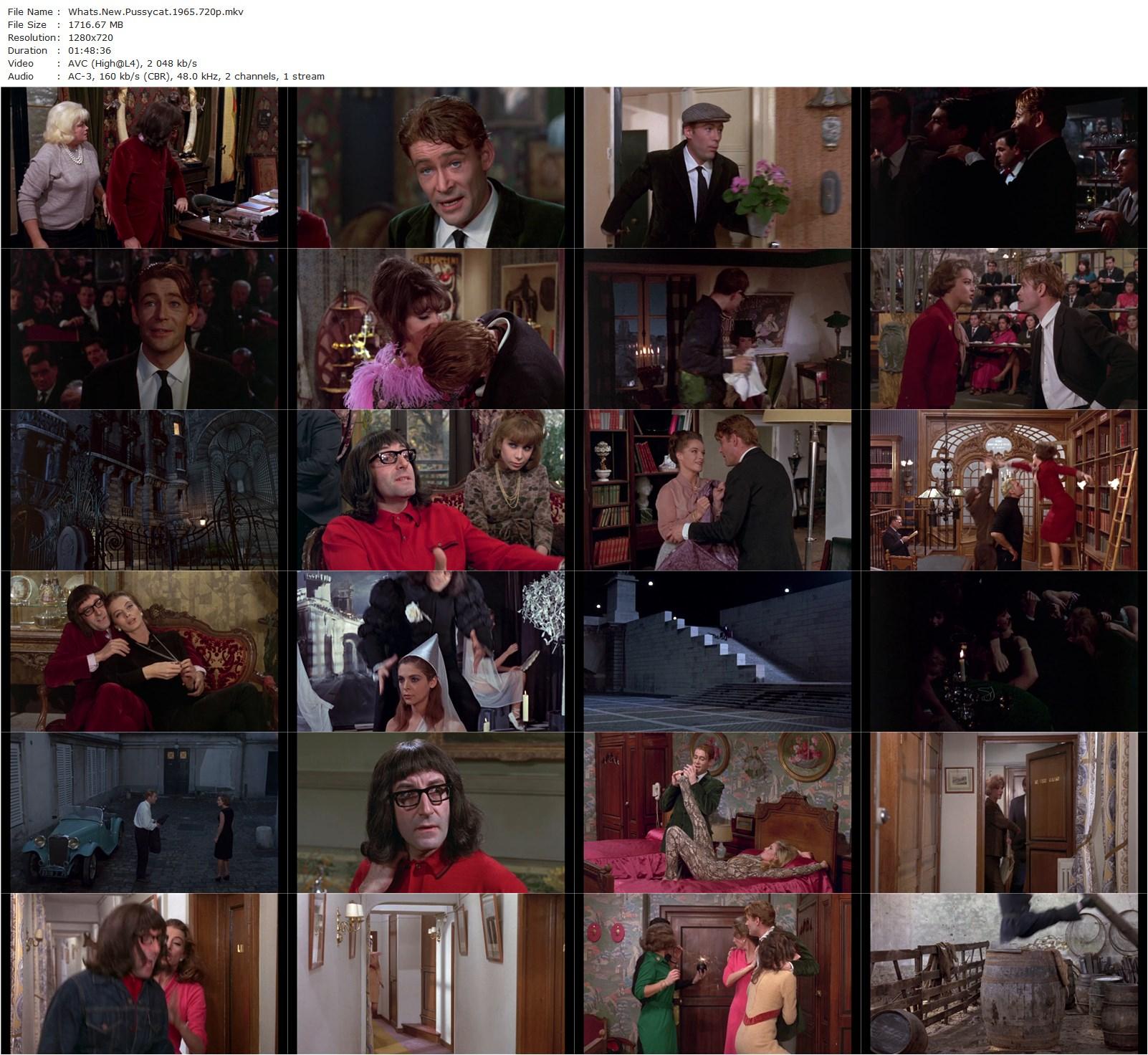 What’s New Pussycat (1965) Clive Donner, Peter Sellers, Peter O’Toole, Romy Schneider-poster