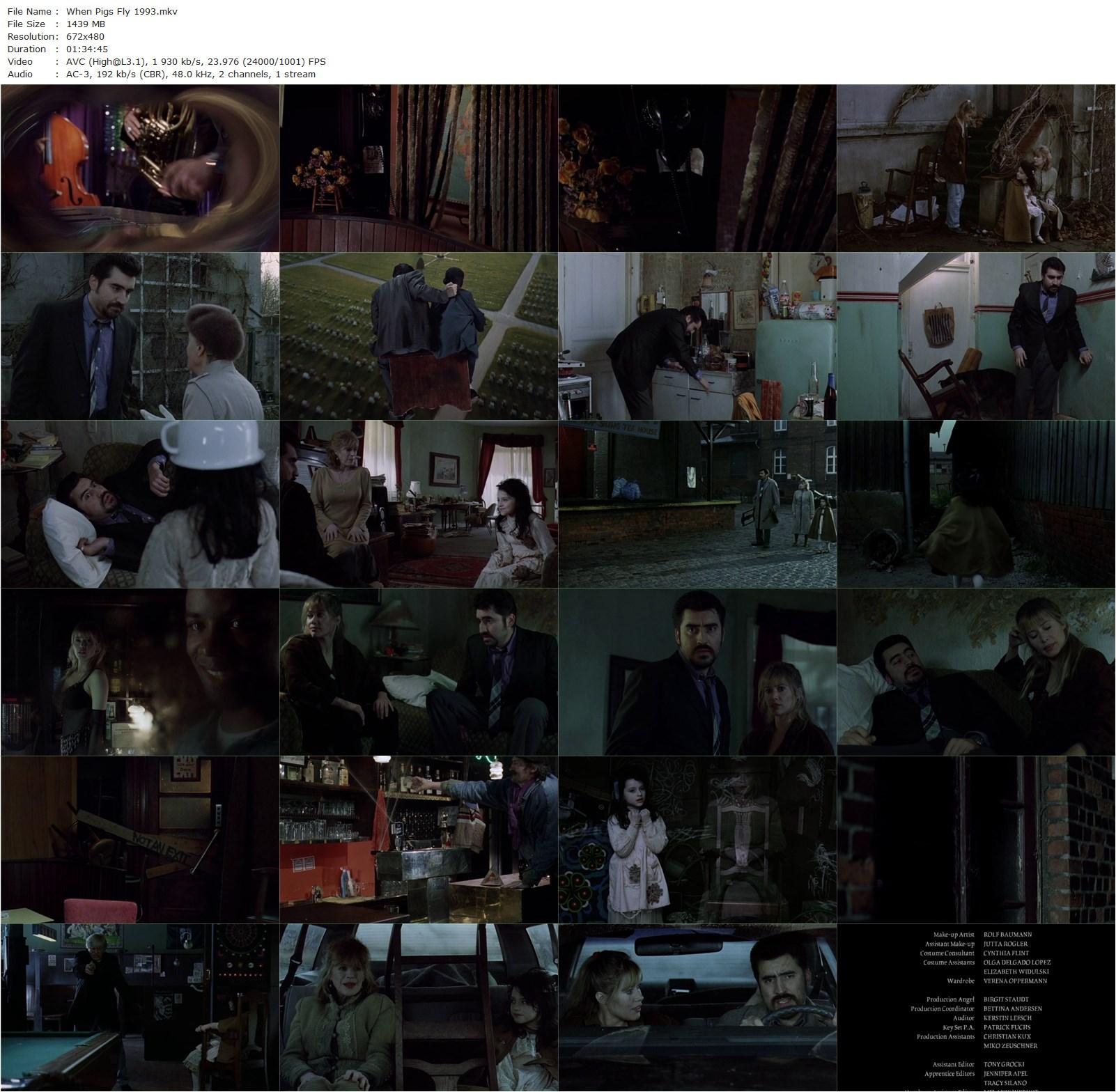 When Pigs Fly (1993) Sara Driver, Alfred Molina, Marianne Faithfull, Rachael Bella-poster