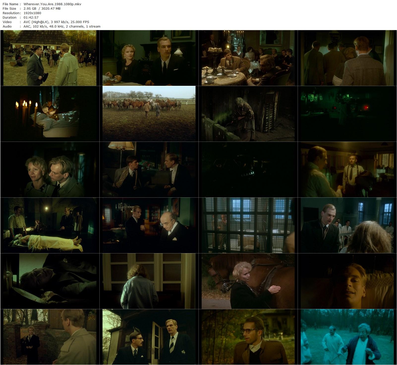 Wherever You Are… (1988) Krzysztof Zanussi, Julian Sands, Renée Soutendijk, Maciej Robakiewicz-poster