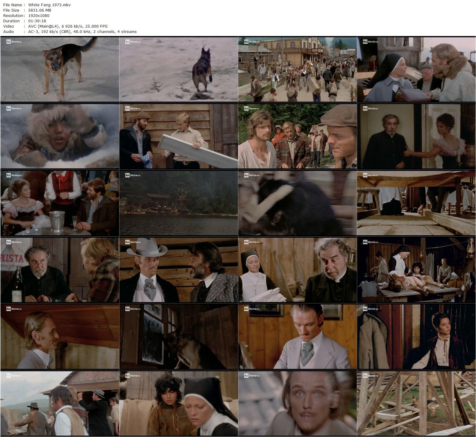 White Fang AKA Zanna Bianca (1973) Lucio Fulci, Franco Nero, Virna Lisi, Fernando Rey-poster