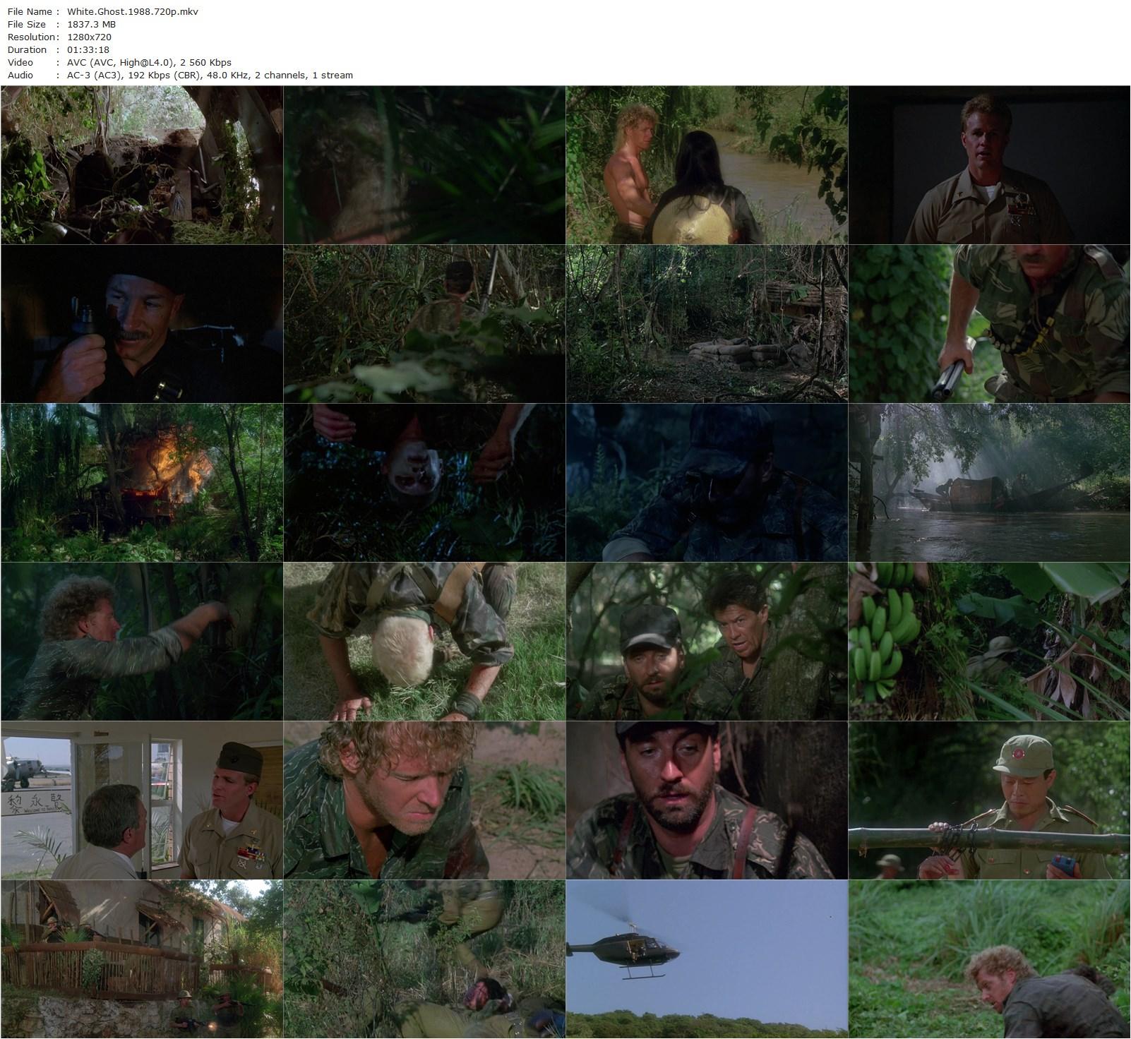 White Ghost (1988) BJ Davis, William Katt, Rosalind Chao, Martin Hewitt-poster