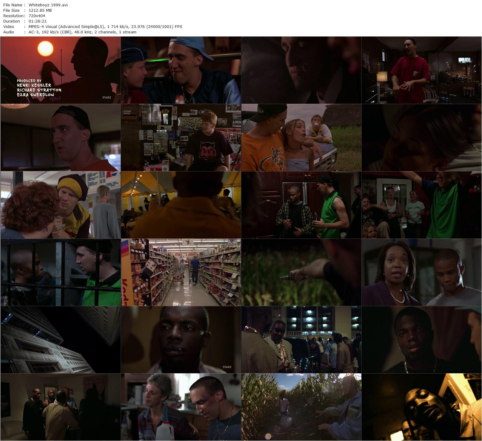 Whiteboyz (1999) Marc Levin, Danny Hoch, Dash Mihok, Mark Webber-poster