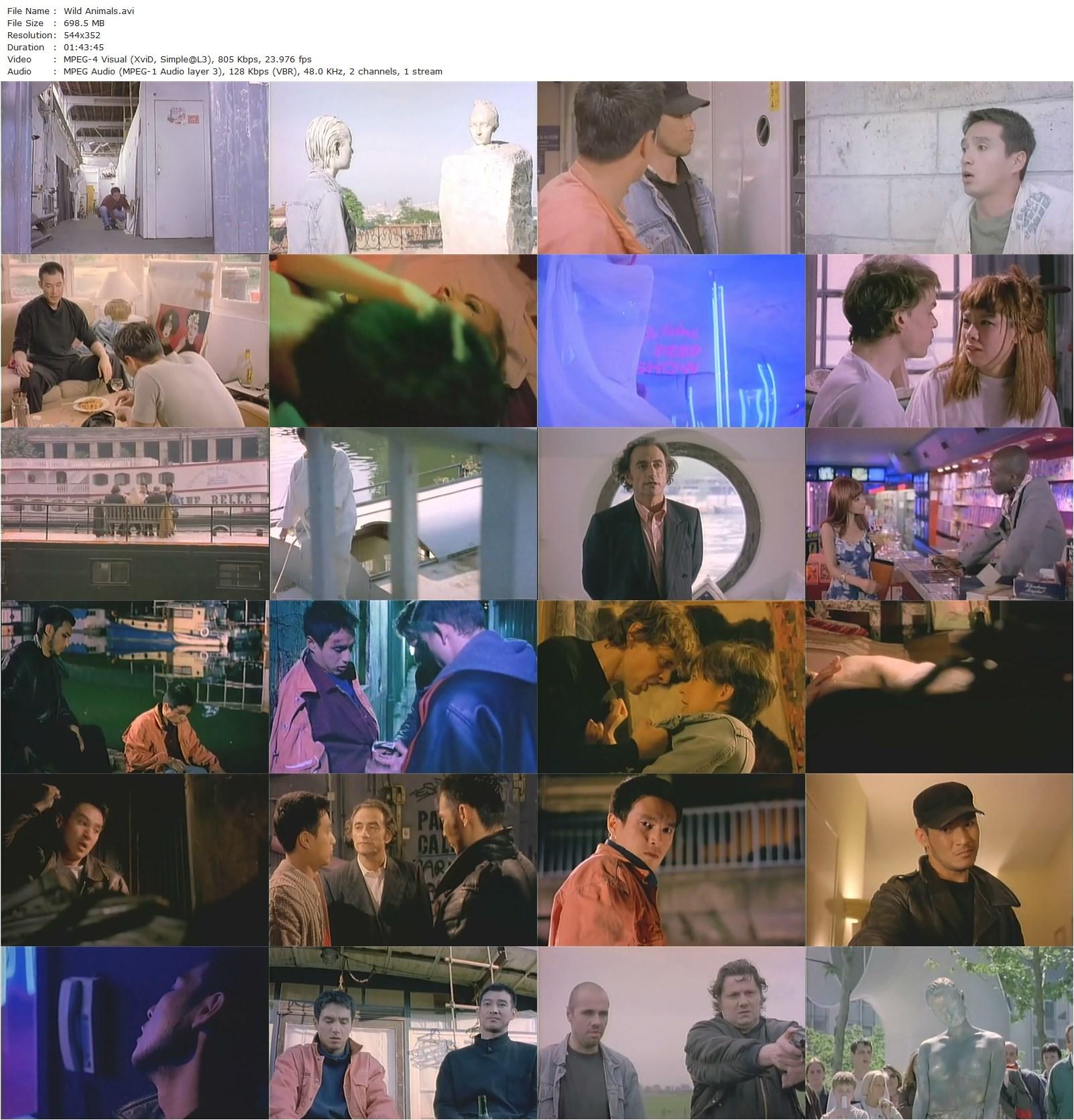 Wild Animals AKA Yasaeng dongmul bohoguyeog (1997) Ki-duk Kim, Jae-Hyun Cho, Dong-jik Jang, Ryun Jang-poster