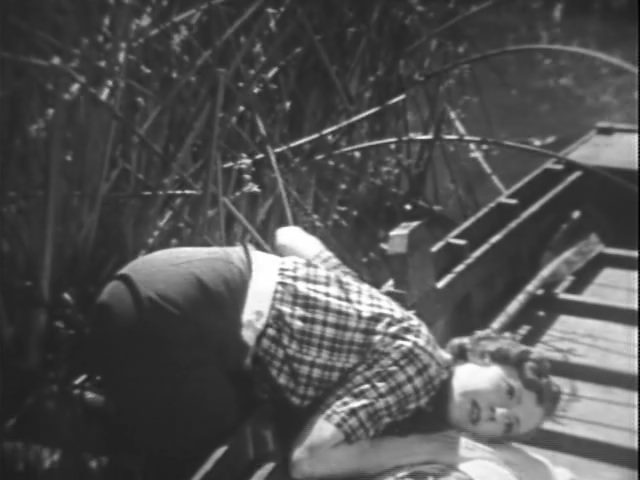 Wild Brian Kent (1936) Howard Bretherton, Ralph Bellamy, Mae Clarke, Helen Lowell-poster