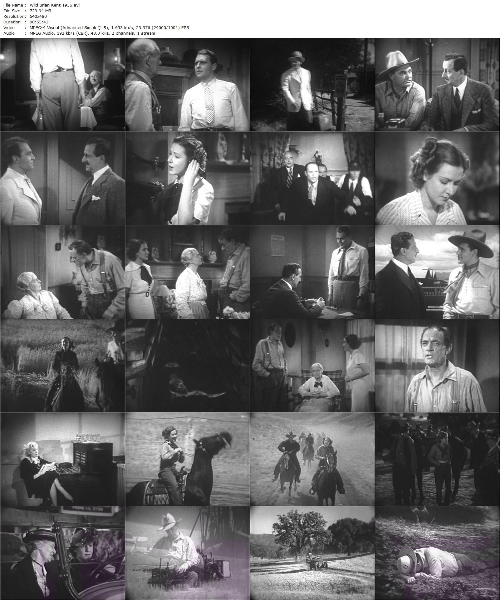 Wild Brian Kent (1936) Howard Bretherton, Ralph Bellamy, Mae Clarke, Helen Lowell-poster