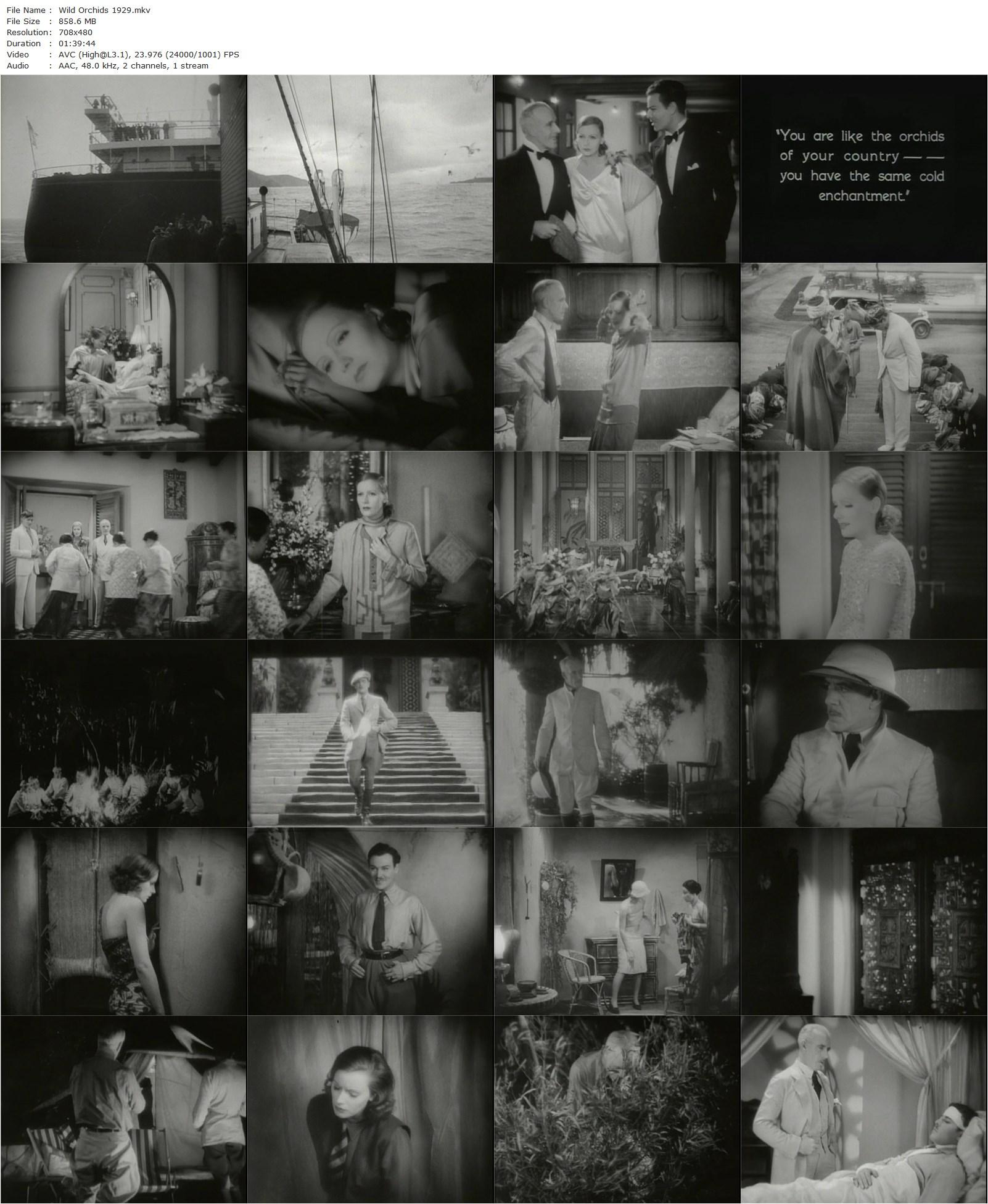 Wild Orchids (1929) Sidney Franklin, Greta Garbo, Lewis Stone, Nils Asther-poster