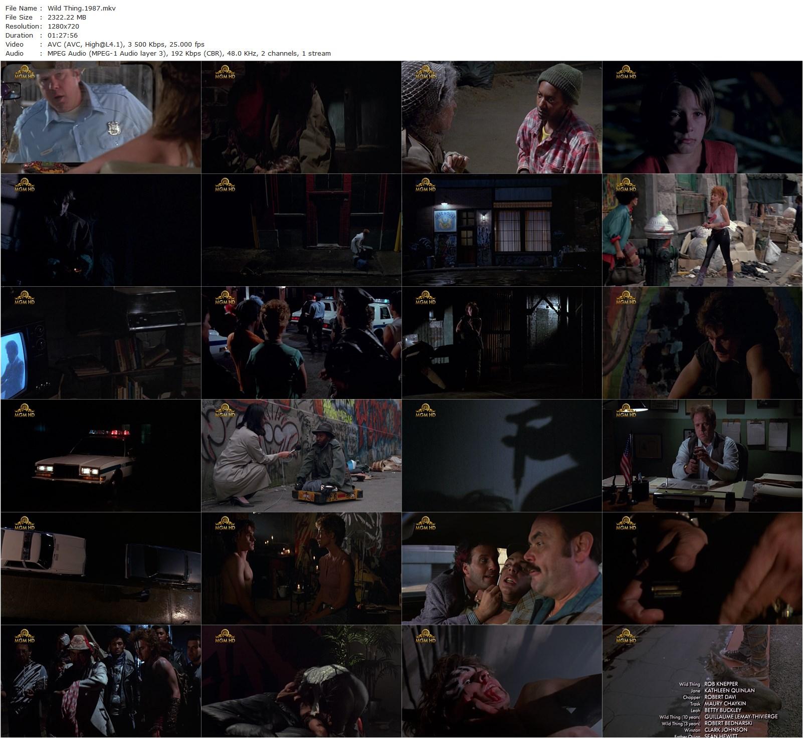 Wild Thing (1987) Max Reid, Robert Knepper, Kathleen Quinlan, Robert Davi-poster