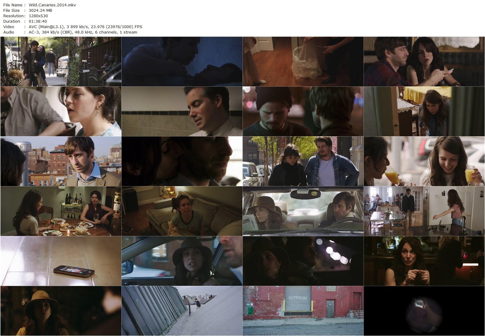 Wild Canaries (2014) Lawrence Michael Levine, Sophia Takal, Alia Shawkat-poster