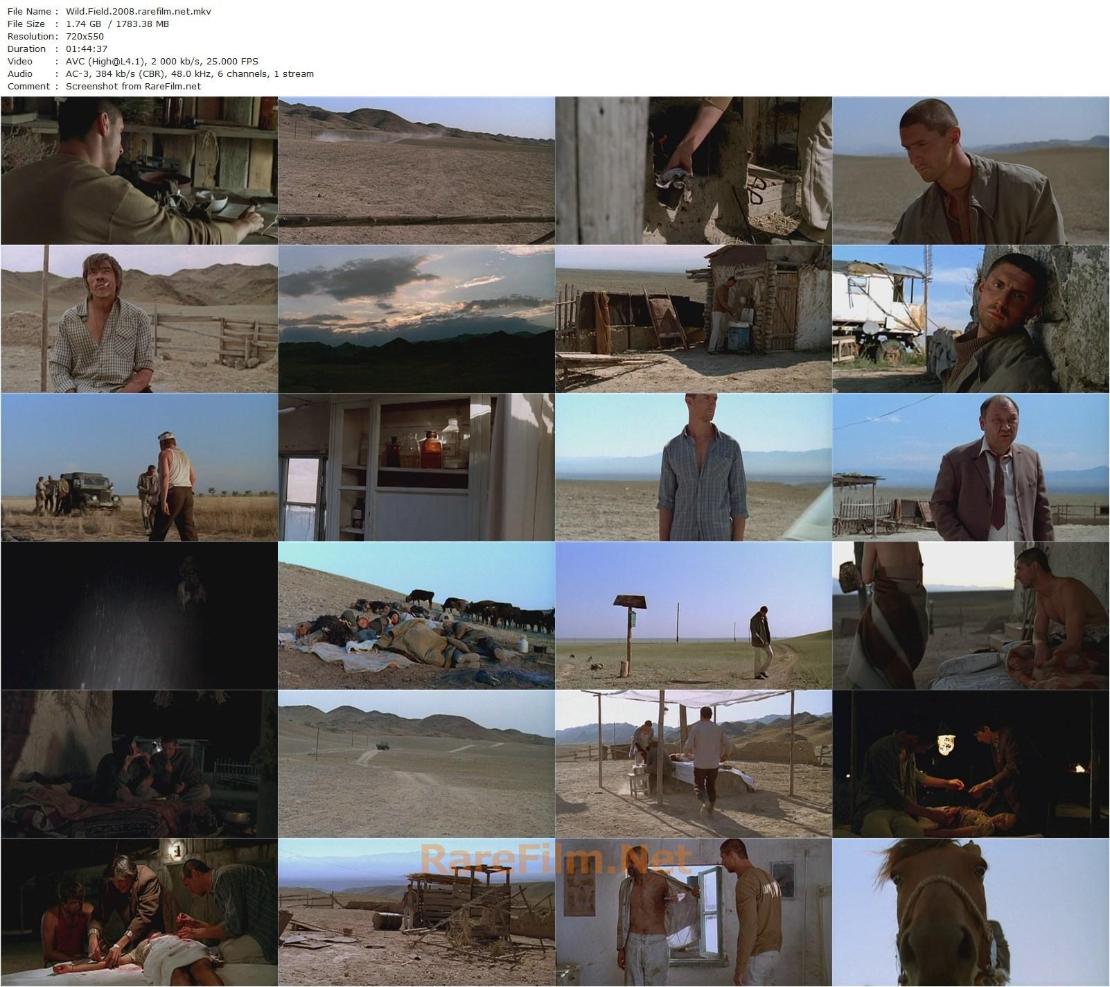 Wild Field / Dikoe pole (2008) Mikheil Kalatozishvili, Oleg Dolin, Roman Madyanov, Yuriy Stepanov-poster