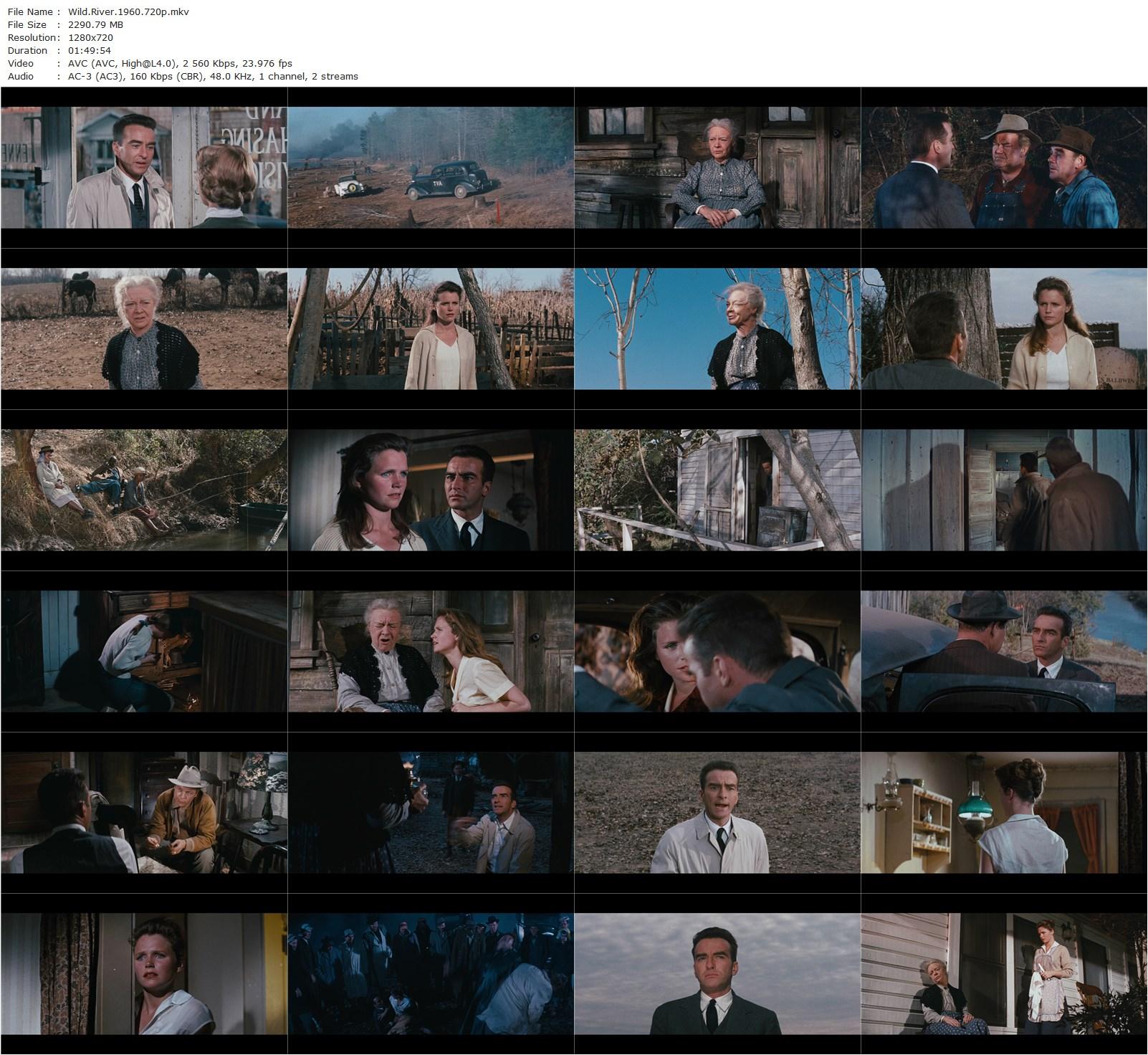 Wild River (1960) Elia Kazan, Montgomery Clift, Lee Remick, Jo Van Fleet-poster