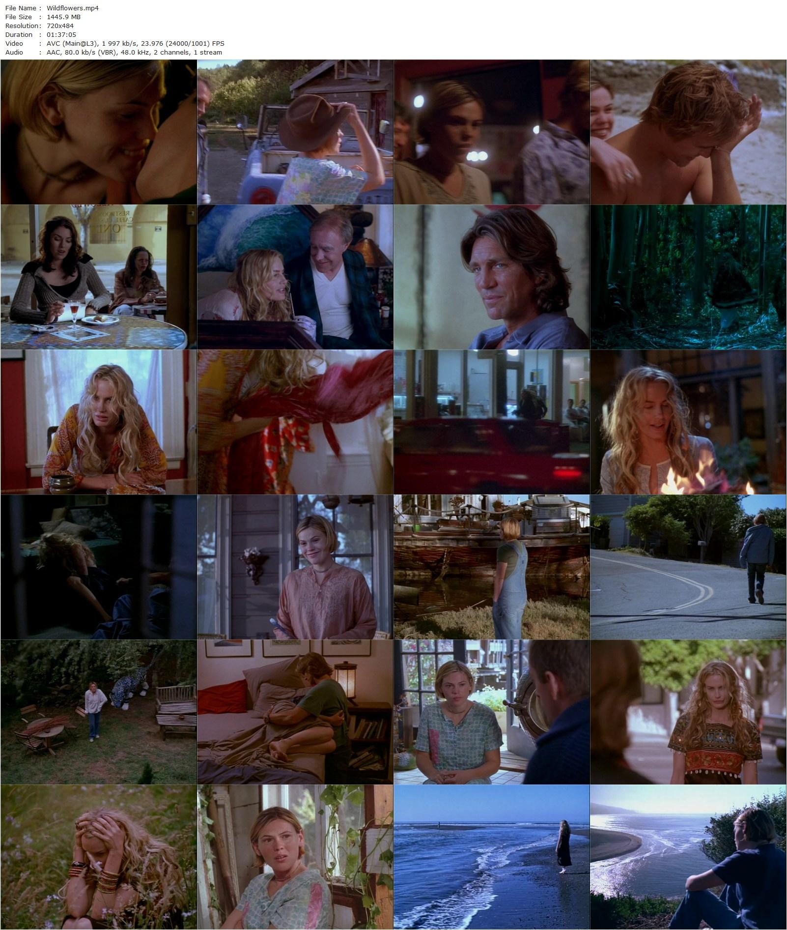 Wildflowers (1999) Melissa Painter, Clea DuVall, Daryl Hannah, Tomas Arana-poster