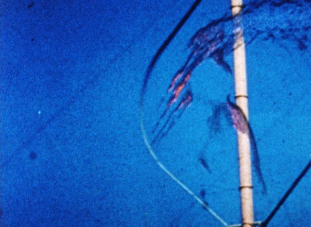 Wind/Water/Wings (1996)-poster